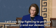 January 6 Congress GIF by GIPHY News