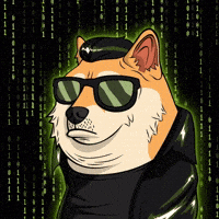 So Cool Neo GIF by Doge Pound