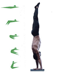 Home_and_Gym streetworkout calistenia homeandgym Sticker