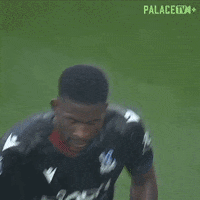 Premier League Run GIF by Crystal Palace Football Club