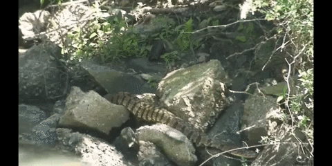 Awkward Education GIF by DIIMSA Stock