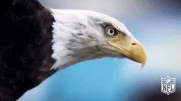 philadelphia eagles football GIF by NFL