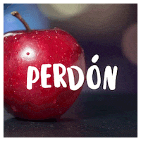 Sorry Apple GIF