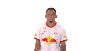 Celebration Jump Sticker by FC Red Bull Salzburg