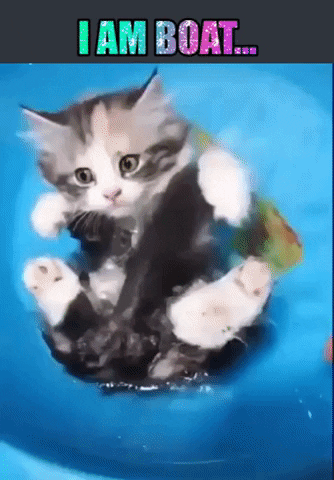garrywatts giphygifmaker GIF