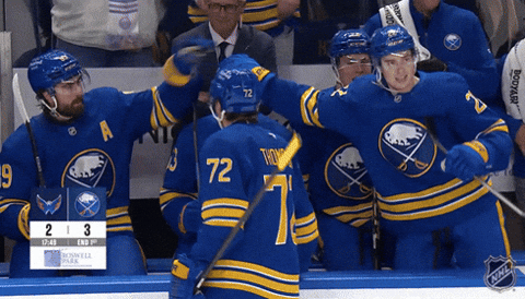 Happy National Hockey League GIF by NHL