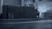 Fetch Good Boy GIF by Xbox