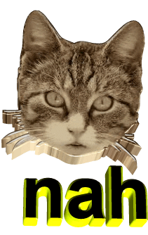 Cat No Sticker by AnimatedText