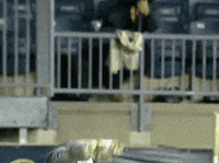 Flipping New England GIF by Major League Soccer