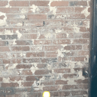 fcla GIF by Fast Company