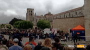 Curpillos GIF