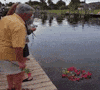 Video gif. A group of people stand on a wooden dock and carefully toss roses into the water. The dock crumbles underneath them toppling them into the water. 