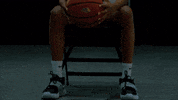 Basketball Bison GIF by NDSU Athletics