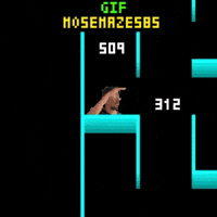 Maze 585 Mose GIF