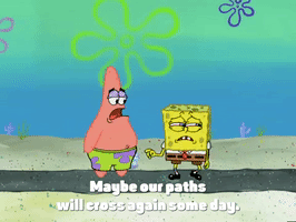 season 4 GIF by SpongeBob SquarePants