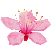 Cherry Sticker by Mon Chéri
