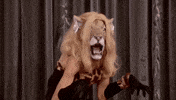 Rupauls Drag Race Lion GIF by LogoTV