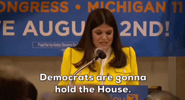 2022 Midterm Elections GIF by GIPHY News