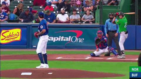 tesstass giphyupload GIF