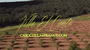 Travel Home GIF by Casol