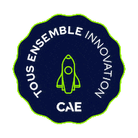 French Innovation Sticker by CAE
