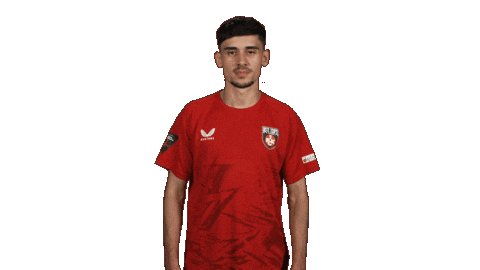 Cant Hear You Fc Kaiserslautern Sticker by Bundesliga