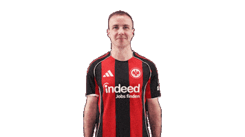 Eintracht Frankfurt Thumbs Up Sticker by Bundesliga