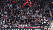 Football Sport GIF by D.C. United