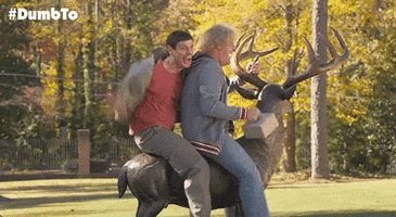 Movie gif. Jim Carrey as Lloyd and Jeff Daniels as Harry in Dumb and Dumber. Both are on a statue of a deer and are miming riding it, rather realistically. Lloyd smacks the butt of it and Harry giddies it up and both men look ecstatic.