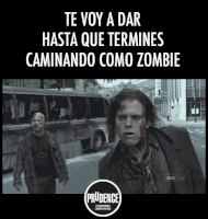 GIF by Prudence México