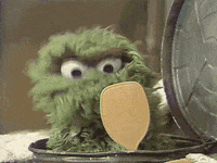 muppetwiki sesame street grooming vanity treat yourself GIF