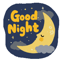 Good Night Animation Sticker