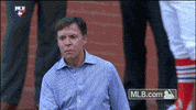 stl GIF by MLB