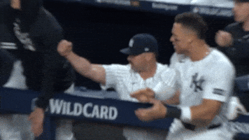 New York Yankees GIF by MLB