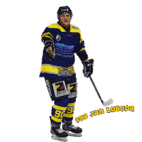 ehcwaldkraiburg hockey ice hockey ehc waldkraiburg waldkraiburghockey Sticker