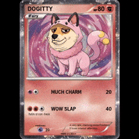 Shiba Inu Wow GIF by Doge Pound