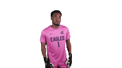 Goalkeeper What Sticker by Carson-Newman Athletics