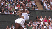 london win GIF by Wimbledon