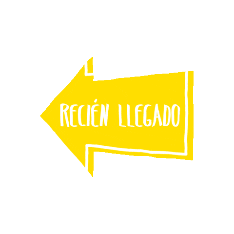 Newin Sticker by Zeeman