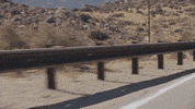 Brand Adventure GIF by Harley-Davidson