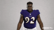 Celebrate Charm City GIF by Baltimore Ravens