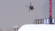 Team Usa Sport GIF by U.S. Ski & Snowboard Team