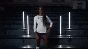 Georgia Tech Volleyball GIF by Georgia Tech Yellow Jackets