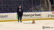 ice hockey dog GIF by NHL