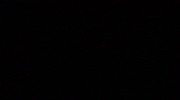 Evrim Zeka GIF