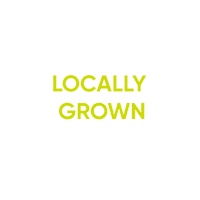 Salad Lettuce Sticker by BrightFarms