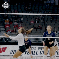 Happy Kentucky Wildcats GIF by NCAA Championships