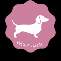 Hot Dog GIF by WOOF+WEEN