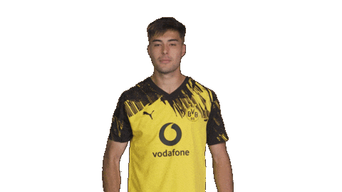 Borussia Dortmund Sticker by Bundesliga