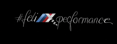 BMWFelix bmwm bmwfelixbottrop felixperformance bmwfelix GIF